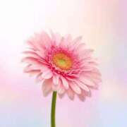 ヒメ日記 2025/01/09 14:22 投稿 花奈美（かなみ） 熟女の風俗最終章 大宮店