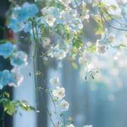 ヒメ日記 2025/02/25 12:44 投稿 花奈美（かなみ） 熟女の風俗最終章 大宮店