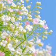 ヒメ日記 2025/02/27 04:59 投稿 花奈美（かなみ） 熟女の風俗最終章 大宮店