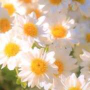 ヒメ日記 2025/02/27 05:29 投稿 花奈美（かなみ） 熟女の風俗最終章 大宮店