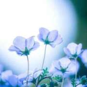 ヒメ日記 2025/02/27 19:23 投稿 花奈美（かなみ） 熟女の風俗最終章 大宮店