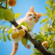 ヒメ日記 2025/03/04 01:33 投稿 花奈美（かなみ） 熟女の風俗最終章 大宮店