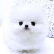 ヒメ日記 2025/03/07 20:49 投稿 花奈美（かなみ） 熟女の風俗最終章 大宮店