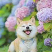 ヒメ日記 2025/03/07 20:29 投稿 花奈美（かなみ） 熟女の風俗最終章 大宮店