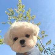 ヒメ日記 2025/03/11 19:22 投稿 花奈美（かなみ） 熟女の風俗最終章 大宮店