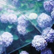 ヒメ日記 2025/03/16 22:39 投稿 花奈美（かなみ） 熟女の風俗最終章 大宮店