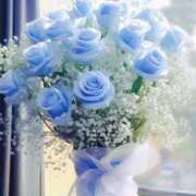 ヒメ日記 2025/03/27 04:59 投稿 花奈美（かなみ） 熟女の風俗最終章 大宮店