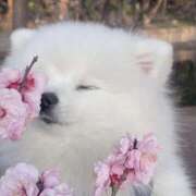 ヒメ日記 2025/03/28 10:49 投稿 花奈美（かなみ） 熟女の風俗最終章 大宮店