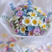 ヒメ日記 2025/03/30 11:19 投稿 花奈美（かなみ） 熟女の風俗最終章 大宮店