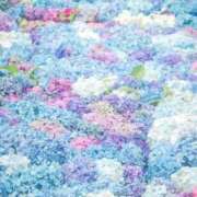 ヒメ日記 2025/04/15 15:32 投稿 花奈美（かなみ） 熟女の風俗最終章 大宮店