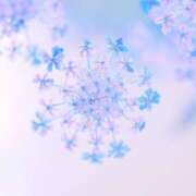 ヒメ日記 2025/04/16 01:18 投稿 花奈美（かなみ） 熟女の風俗最終章 大宮店