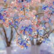 ヒメ日記 2025/04/16 01:46 投稿 花奈美（かなみ） 熟女の風俗最終章 大宮店