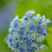 ヒメ日記 2025/04/17 10:02 投稿 花奈美（かなみ） 熟女の風俗最終章 大宮店