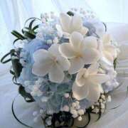 ヒメ日記 2025/04/23 11:45 投稿 花奈美（かなみ） 熟女の風俗最終章 大宮店