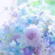 ヒメ日記 2025/04/24 05:05 投稿 花奈美（かなみ） 熟女の風俗最終章 大宮店