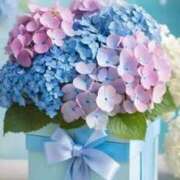 ヒメ日記 2025/04/24 10:25 投稿 花奈美（かなみ） 熟女の風俗最終章 大宮店