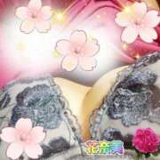 ヒメ日記 2025/04/25 06:15 投稿 花奈美（かなみ） 熟女の風俗最終章 大宮店