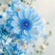 ヒメ日記 2025/04/25 13:50 投稿 花奈美（かなみ） 熟女の風俗最終章 大宮店