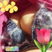 ヒメ日記 2025/04/27 19:32 投稿 花奈美（かなみ） 熟女の風俗最終章 大宮店