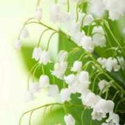 ヒメ日記 2025/04/30 12:12 投稿 花奈美（かなみ） 熟女の風俗最終章 大宮店