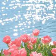 ヒメ日記 2025/04/30 17:12 投稿 花奈美（かなみ） 熟女の風俗最終章 大宮店