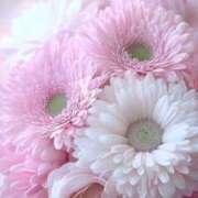 ヒメ日記 2025/05/02 05:11 投稿 花奈美（かなみ） 熟女の風俗最終章 大宮店