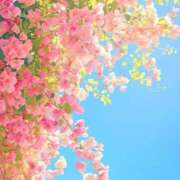 ヒメ日記 2025/05/05 00:40 投稿 花奈美（かなみ） 熟女の風俗最終章 大宮店