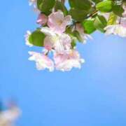 ヒメ日記 2025/05/05 13:25 投稿 花奈美（かなみ） 熟女の風俗最終章 大宮店