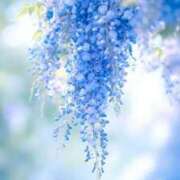 ヒメ日記 2025/05/07 00:45 投稿 花奈美（かなみ） 熟女の風俗最終章 大宮店