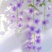 ヒメ日記 2025/05/09 05:26 投稿 花奈美（かなみ） 熟女の風俗最終章 大宮店