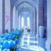 ヒメ日記 2025/05/15 16:46 投稿 花奈美（かなみ） 熟女の風俗最終章 大宮店