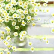 ヒメ日記 2025/05/16 11:27 投稿 花奈美（かなみ） 熟女の風俗最終章 大宮店