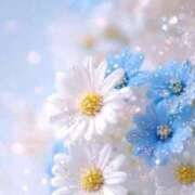 ヒメ日記 2025/05/17 05:25 投稿 花奈美（かなみ） 熟女の風俗最終章 大宮店