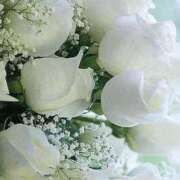 ヒメ日記 2025/05/17 20:05 投稿 花奈美（かなみ） 熟女の風俗最終章 大宮店