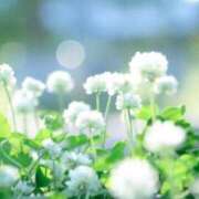 ヒメ日記 2025/05/27 19:45 投稿 花奈美（かなみ） 熟女の風俗最終章 大宮店