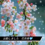 ヒメ日記 2025/05/29 12:05 投稿 花奈美（かなみ） 熟女の風俗最終章 大宮店