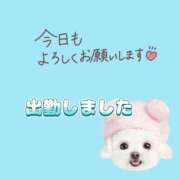 ヒメ日記 2025/06/04 19:35 投稿 花奈美（かなみ） 熟女の風俗最終章 大宮店