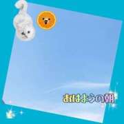 ヒメ日記 2025/06/06 08:45 投稿 花奈美（かなみ） 熟女の風俗最終章 大宮店