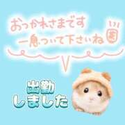 ヒメ日記 2025/06/06 20:04 投稿 花奈美（かなみ） 熟女の風俗最終章 大宮店