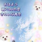 ヒメ日記 2025/06/18 07:25 投稿 花奈美（かなみ） 熟女の風俗最終章 大宮店