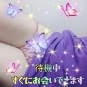 ヒメ日記 2025/06/21 20:55 投稿 花奈美（かなみ） 熟女の風俗最終章 大宮店