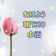 ヒメ日記 2025/06/24 07:25 投稿 花奈美（かなみ） 熟女の風俗最終章 大宮店