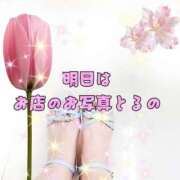 ヒメ日記 2025/07/02 14:35 投稿 花奈美（かなみ） 熟女の風俗最終章 大宮店