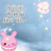 ヒメ日記 2025/07/15 07:25 投稿 花奈美（かなみ） 熟女の風俗最終章 大宮店