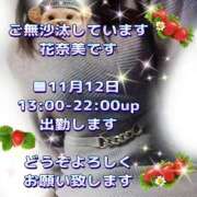 ヒメ日記 2025/11/12 01:25 投稿 花奈美（かなみ） 熟女の風俗最終章 大宮店