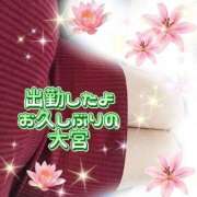 ヒメ日記 2025/11/12 12:35 投稿 花奈美（かなみ） 熟女の風俗最終章 大宮店