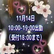 ヒメ日記 2025/11/14 06:05 投稿 花奈美（かなみ） 熟女の風俗最終章 大宮店