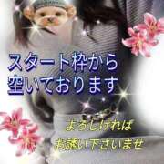 ヒメ日記 2025/11/14 10:45 投稿 花奈美（かなみ） 熟女の風俗最終章 大宮店