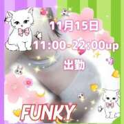 ヒメ日記 2025/11/15 00:35 投稿 花奈美（かなみ） 熟女の風俗最終章 大宮店