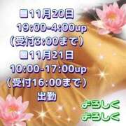 ヒメ日記 2025/11/19 13:05 投稿 花奈美（かなみ） 熟女の風俗最終章 大宮店
